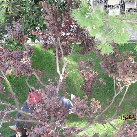 Go Hostel Lisboa Εξωτερικό φωτογραφία